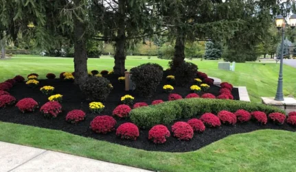 Landscaping Services