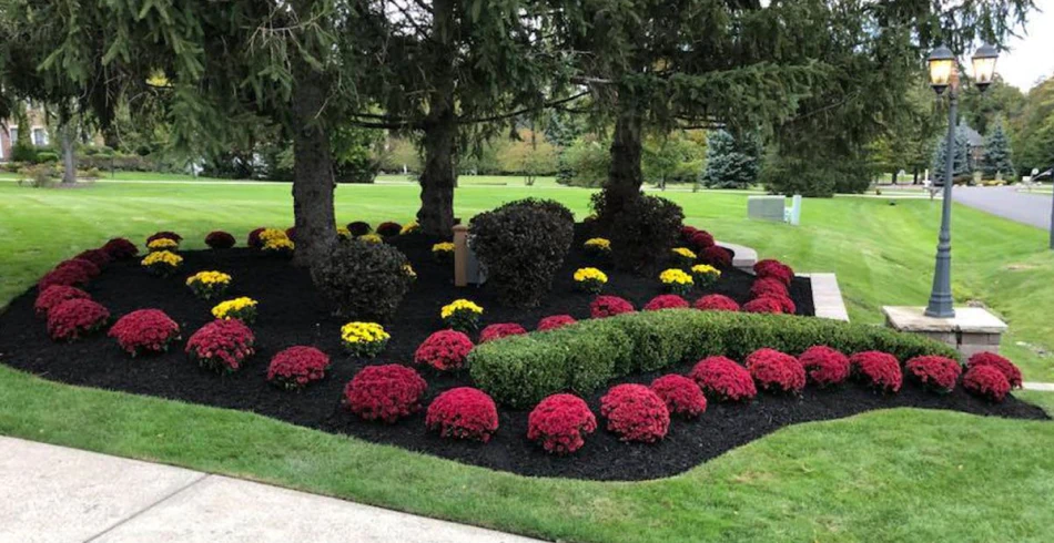 Landscaping Services Landscaping Services
