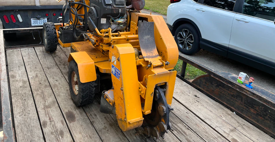 Stump Grinding & Stump Removal